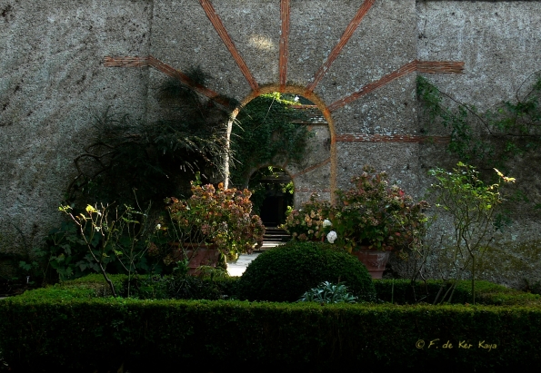 Bois des moutiers fall 2012 (77)